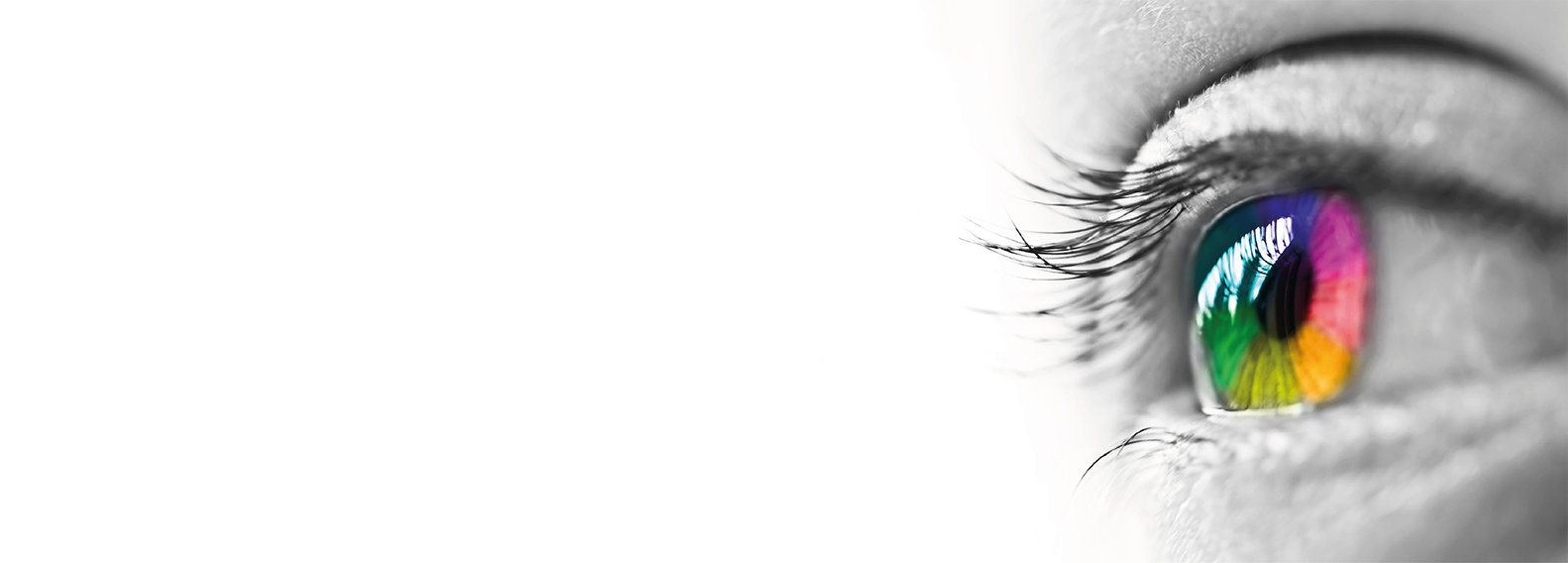 SilaVisions <br>  A G E N C Y  